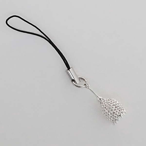 radiolaria
              goetheana