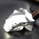 Euoplocephalus Silver
                Jewelry