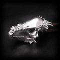 pachycephalosaurus Silver Jewelry