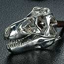 Tyrannosaurus rex
                Silver Jewelry
