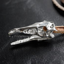 velociraptor Silver
                Jewelry